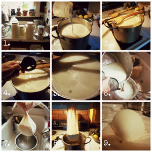 Homemade Queso Blanco Tutorial: The Easiest Cheese Ever Image